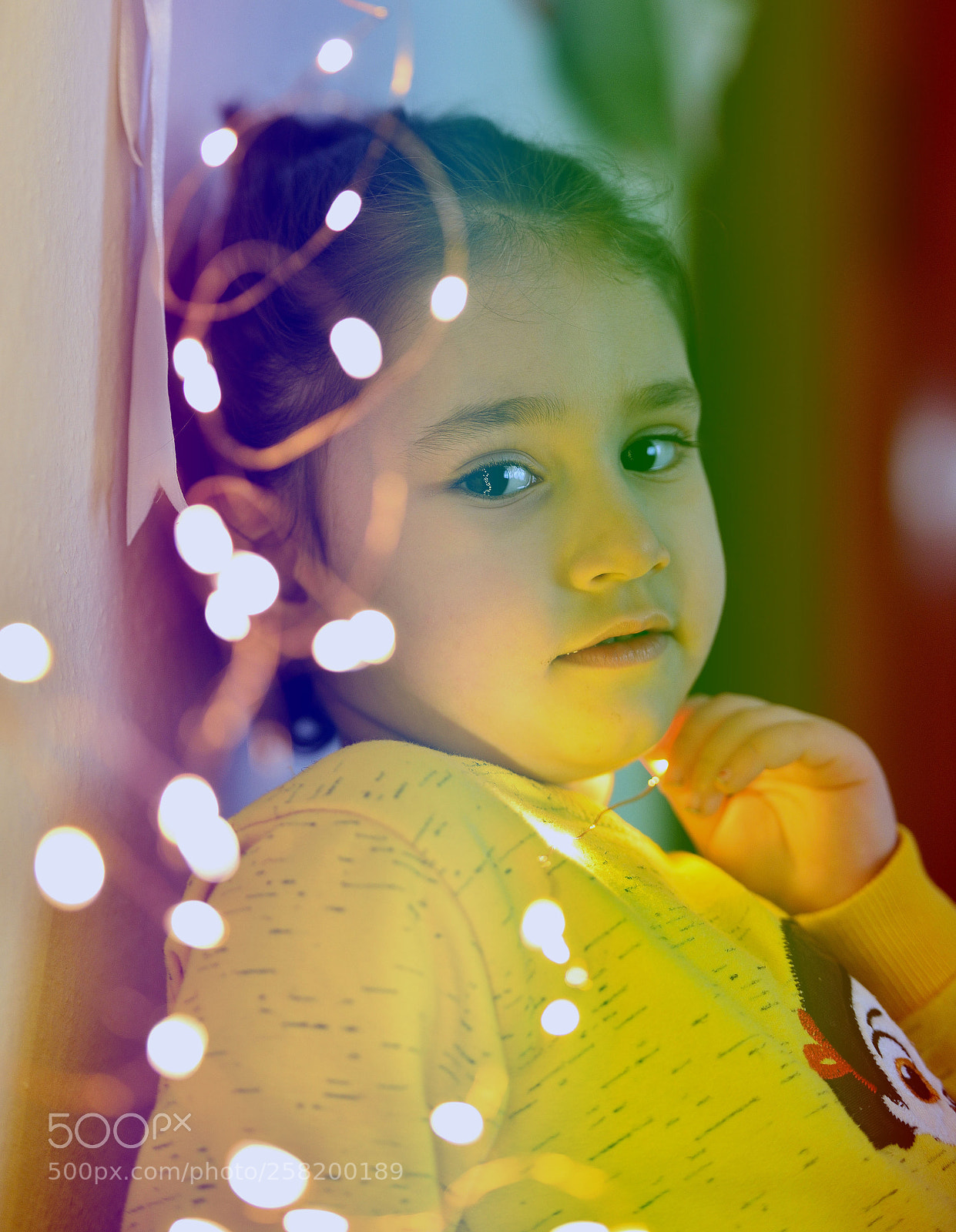 Nikon D610 sample photo. Untitled photography
