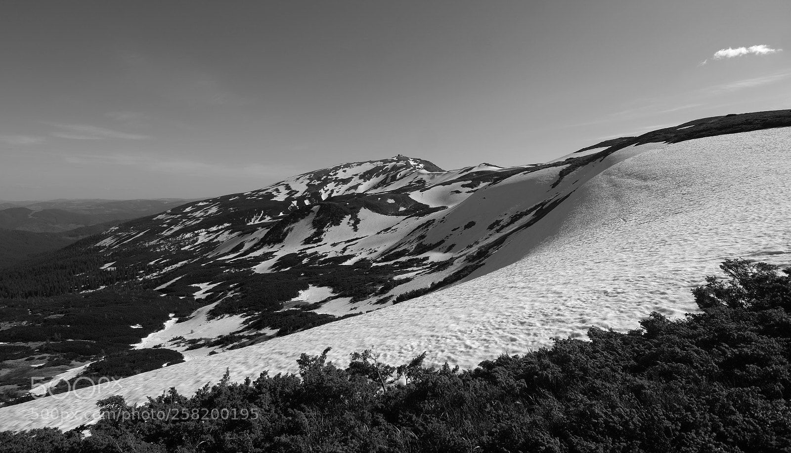 Nikon D7000 sample photo. The meeting of winter photography