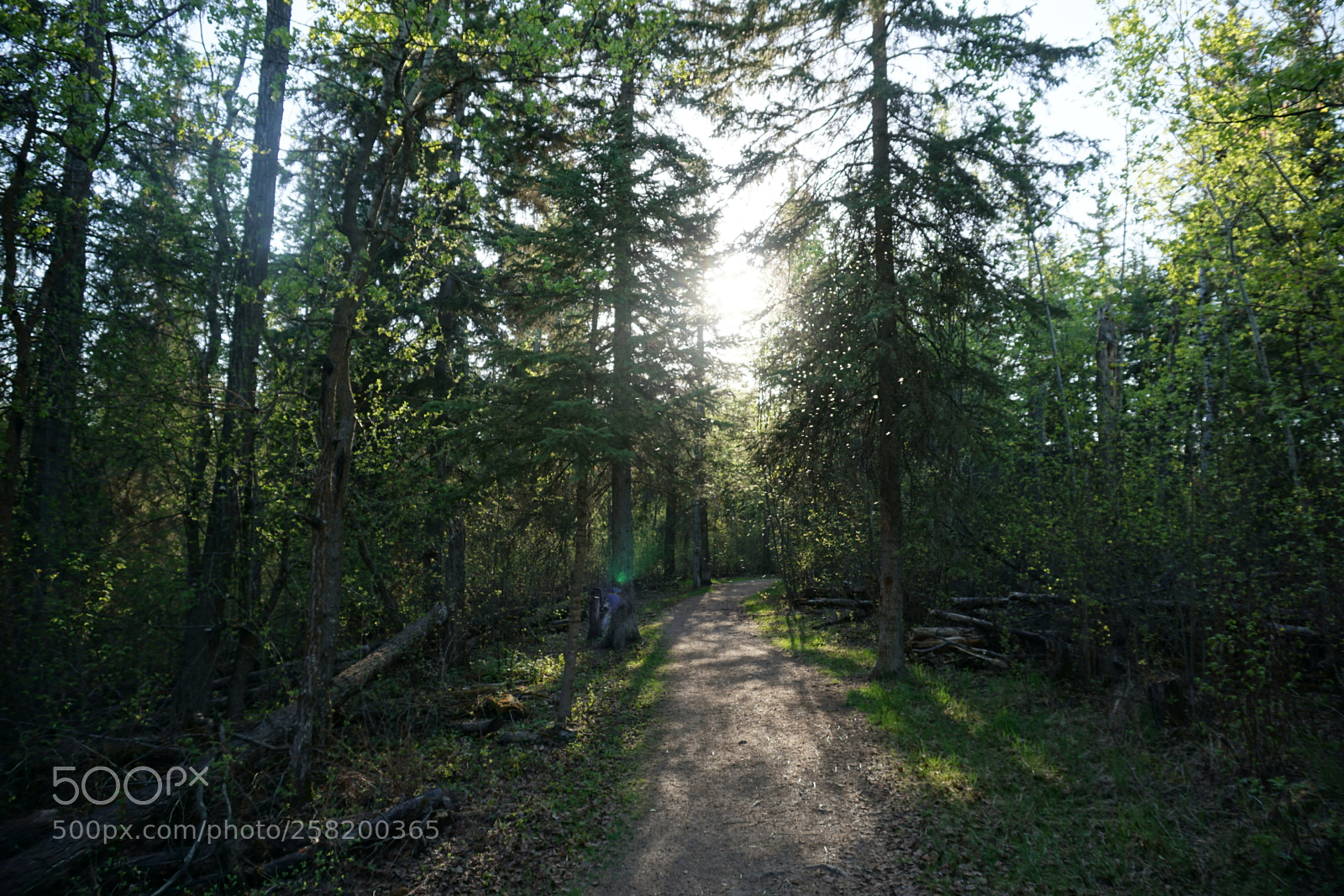 Sony a6000 sample photo. Dsc photography