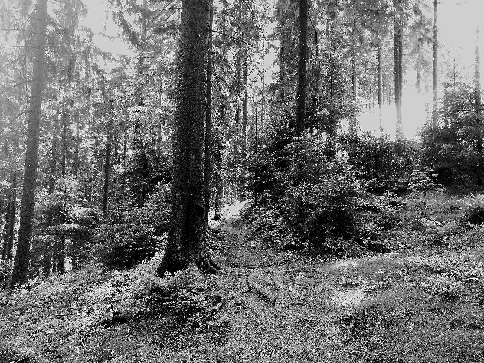 HUAWEI P9 sample photo. Monochrome landscape 3 photography