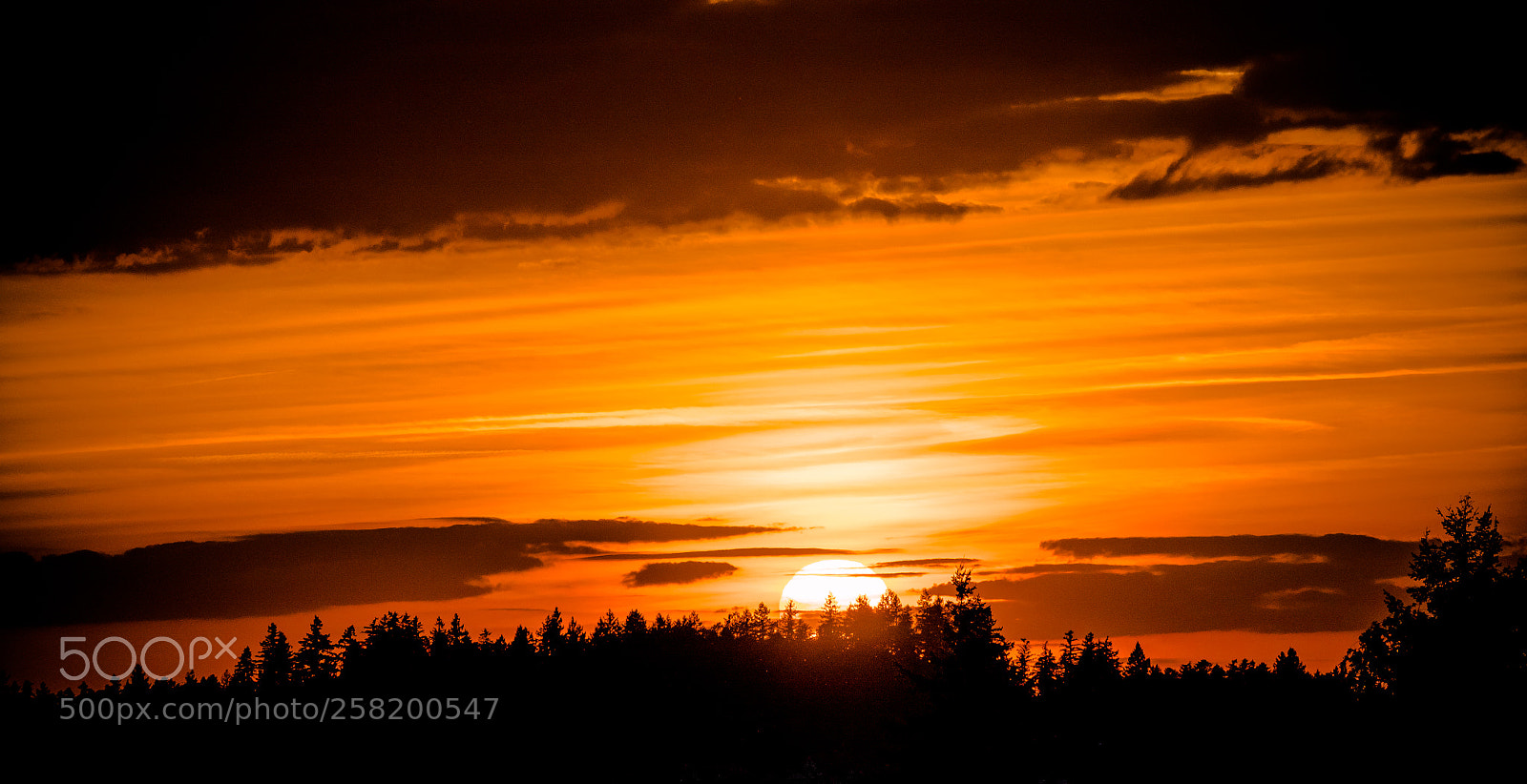 Panasonic Lumix DMC-GX8 sample photo. Yet another sunset at photography