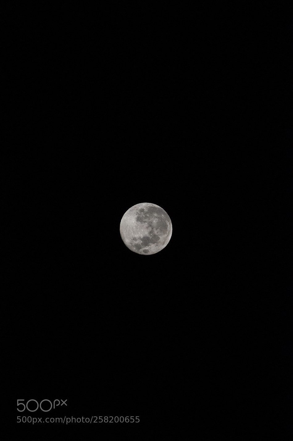 Nikon D90 sample photo. Blue moon photography