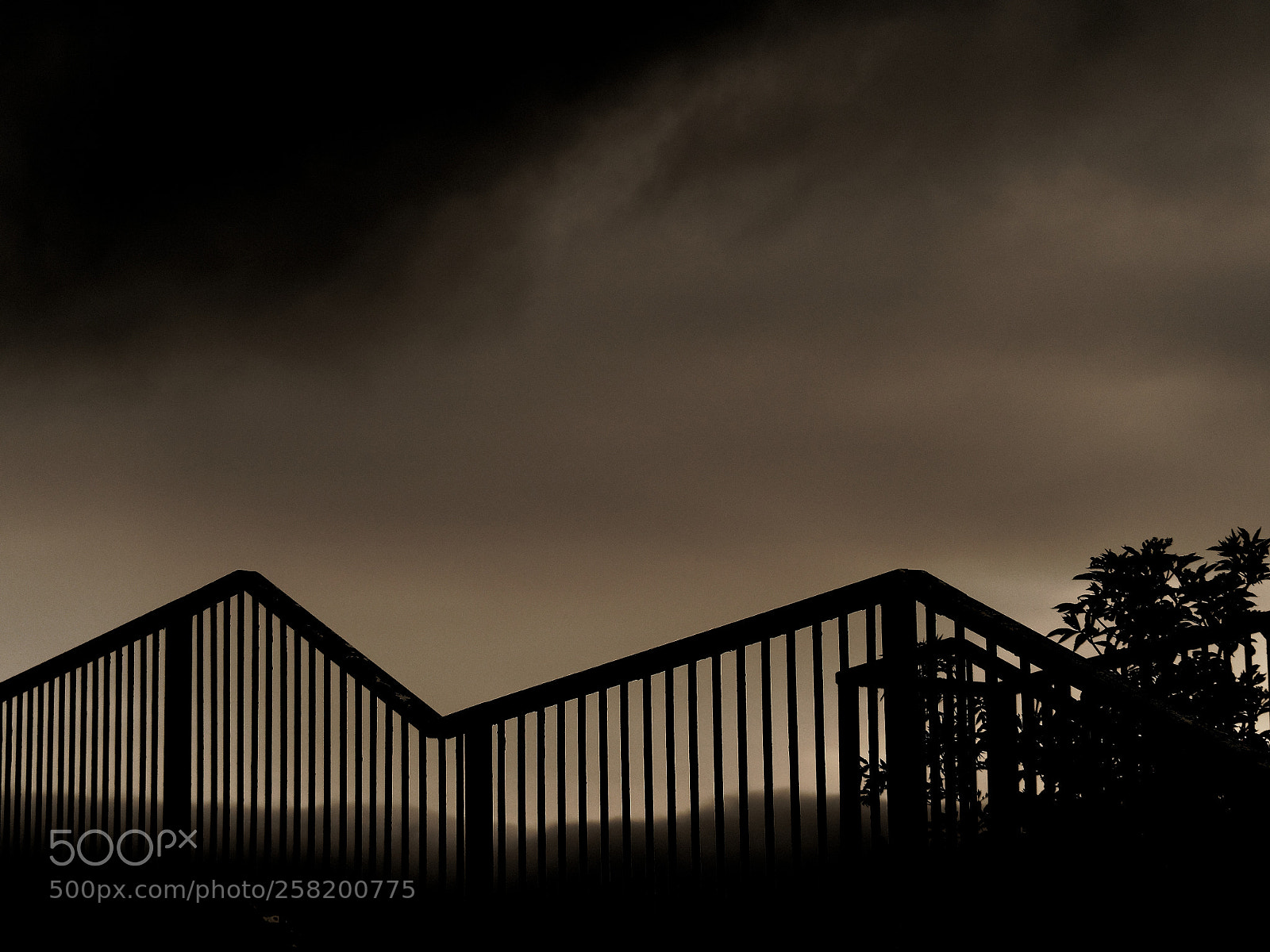 Olympus OM-D E-M5 II sample photo. Gate photography