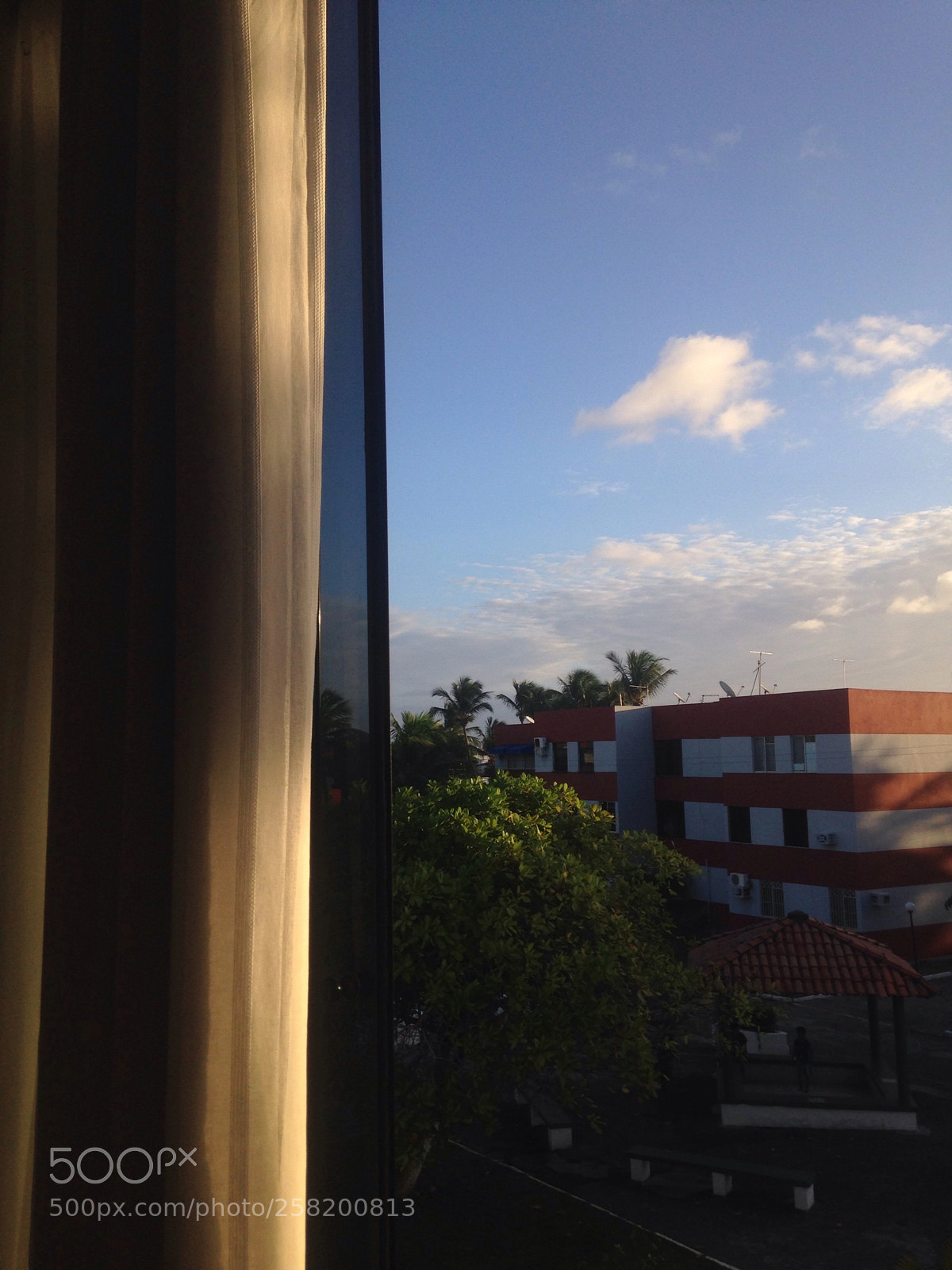 Apple iPhone 5 sample photo. Untitled photography