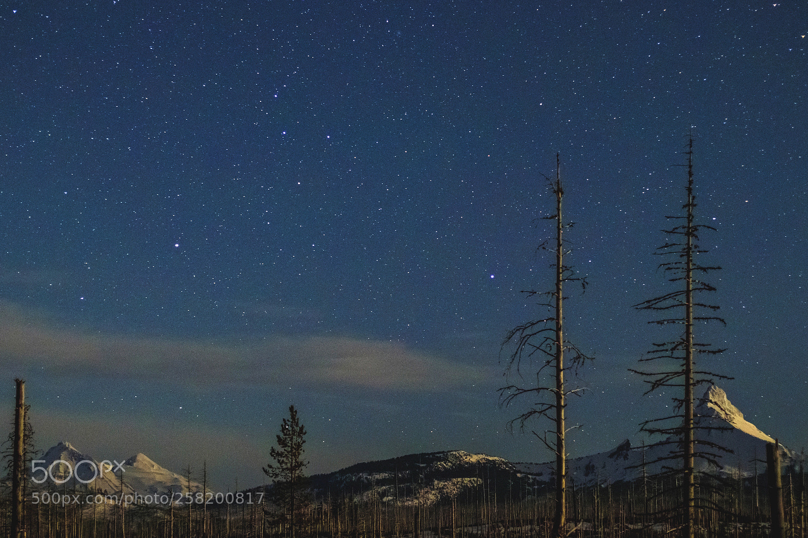 Canon EOS 800D (EOS Rebel T7i / EOS Kiss X9i) sample photo. Moonlit starry mountains photography