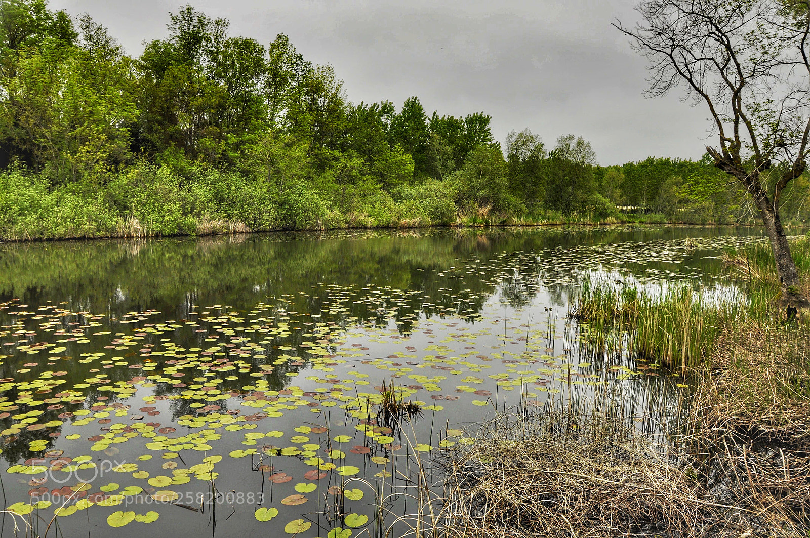 Nikon D90 sample photo. Untitled photography