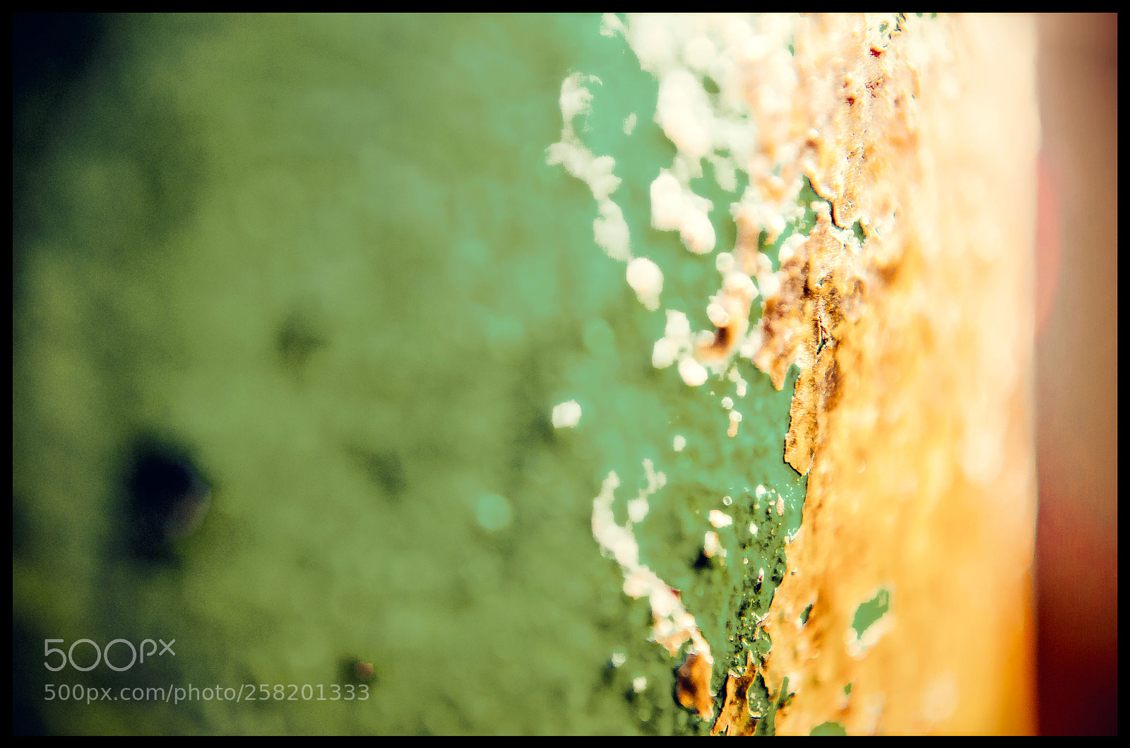 Nikon D5100 sample photo. Patina photography
