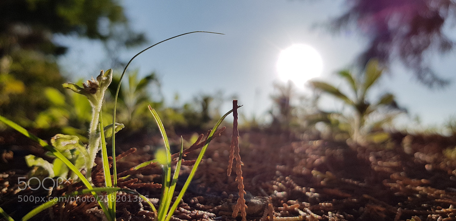 Samsung Galaxy S8 sample photo. Untitled photography