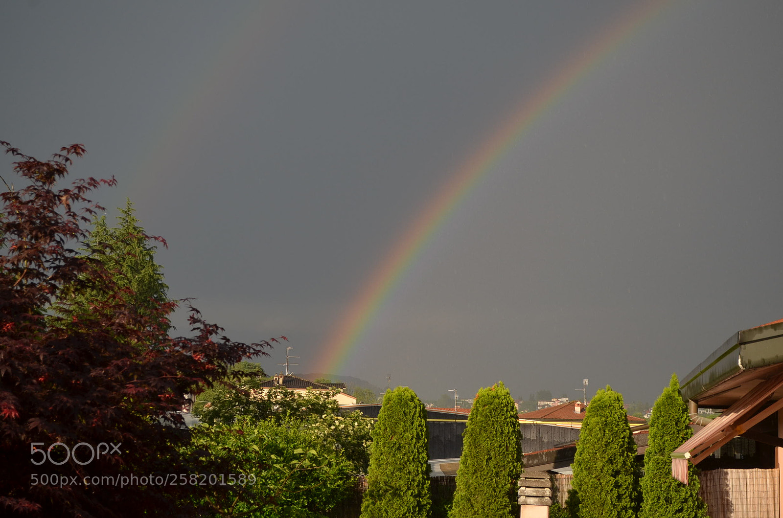 Nikon D5100 sample photo. Bi rainbow photography