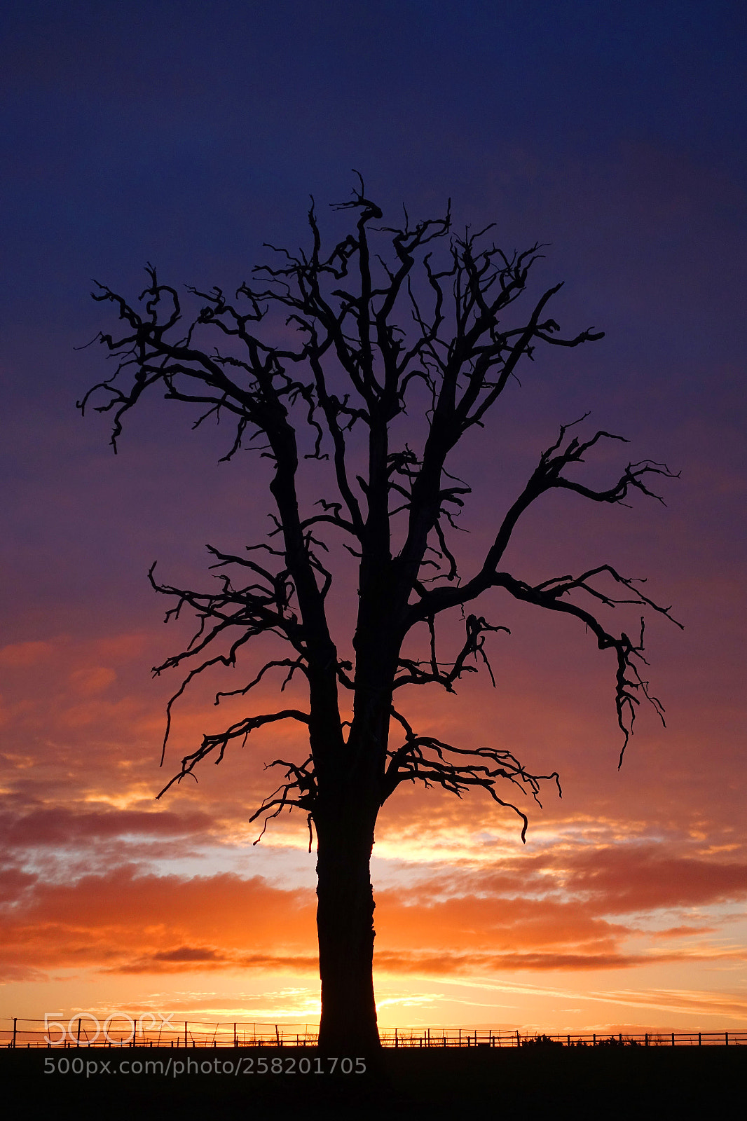 Sony Cyber-shot DSC-RX100 IV sample photo. Chobham sunrise photography