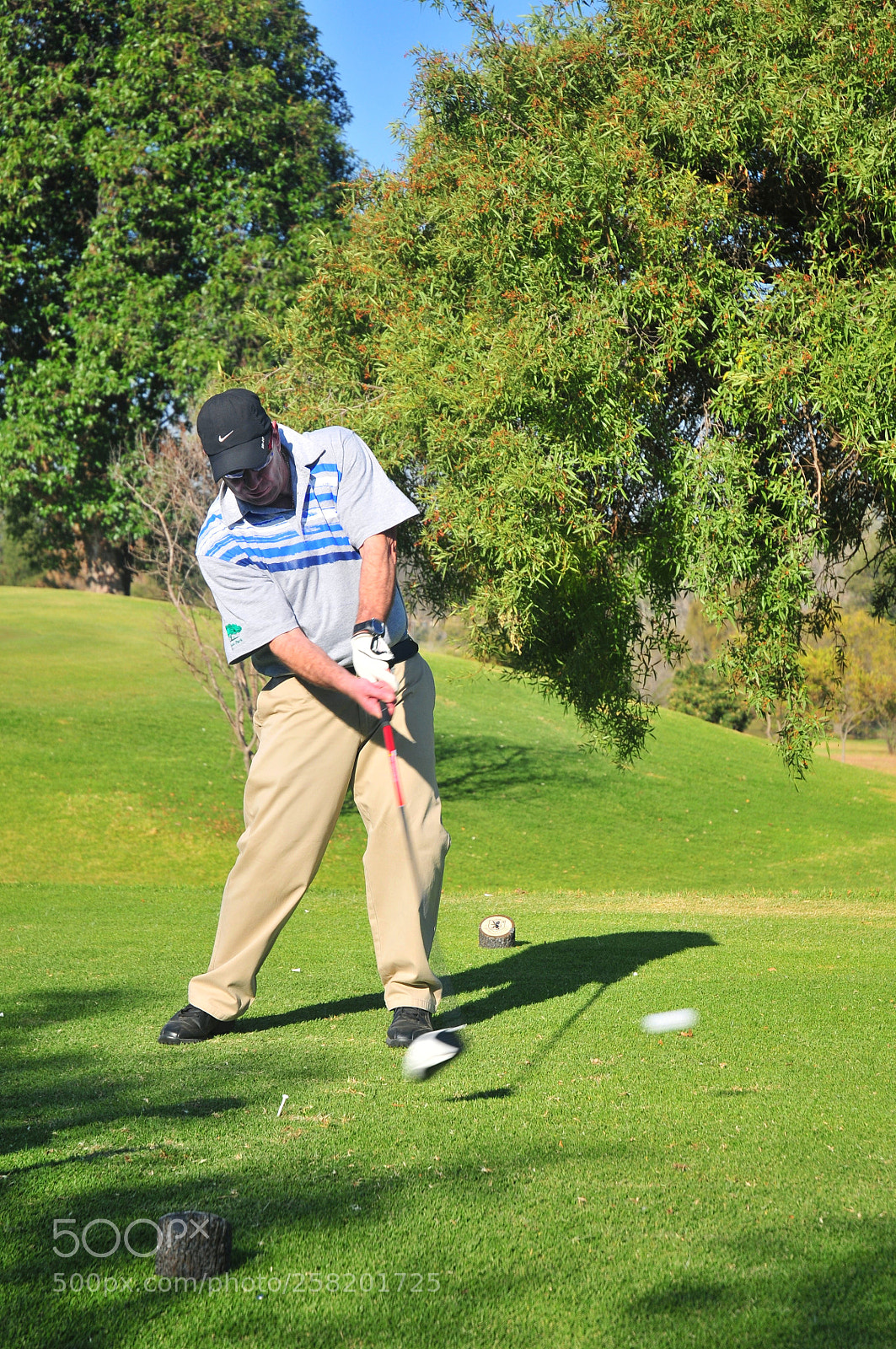 Nikon D300 sample photo. Full ball photography