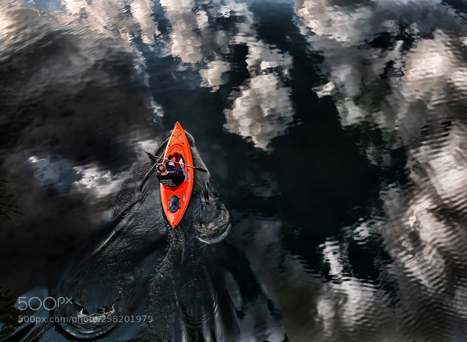Nikon D800 sample photo. Paddling in the clouds photography