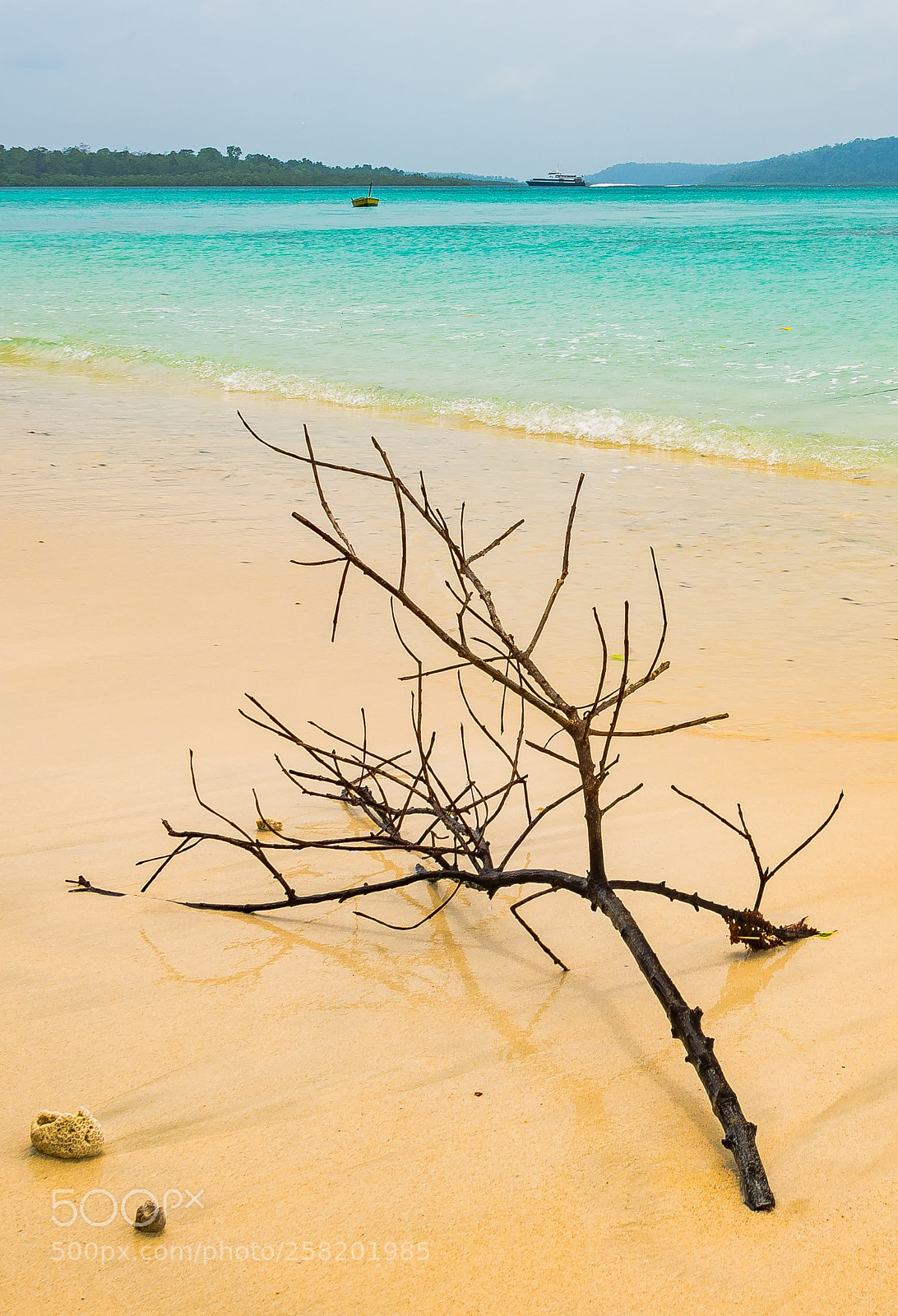 Nikon D810 sample photo. Colours of andaman photography