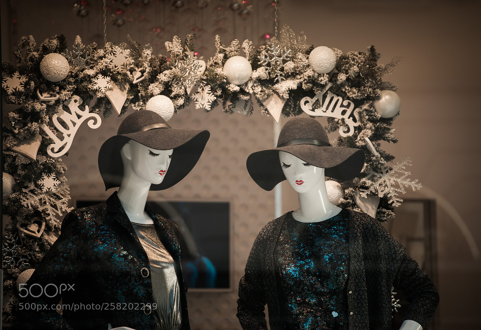 Nikon D700 sample photo. Chit-chat photography