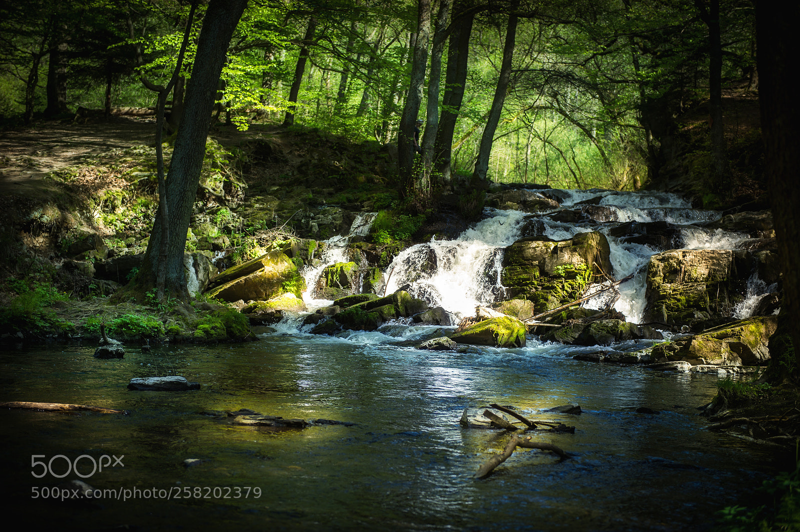 Nikon D4 sample photo. Waterfall in the harz photography