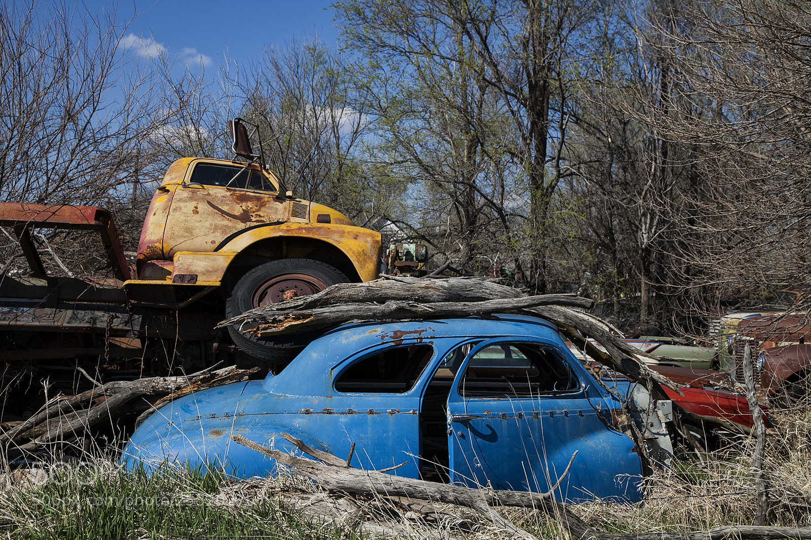 Canon EOS 5D Mark II sample photo. Automania photography