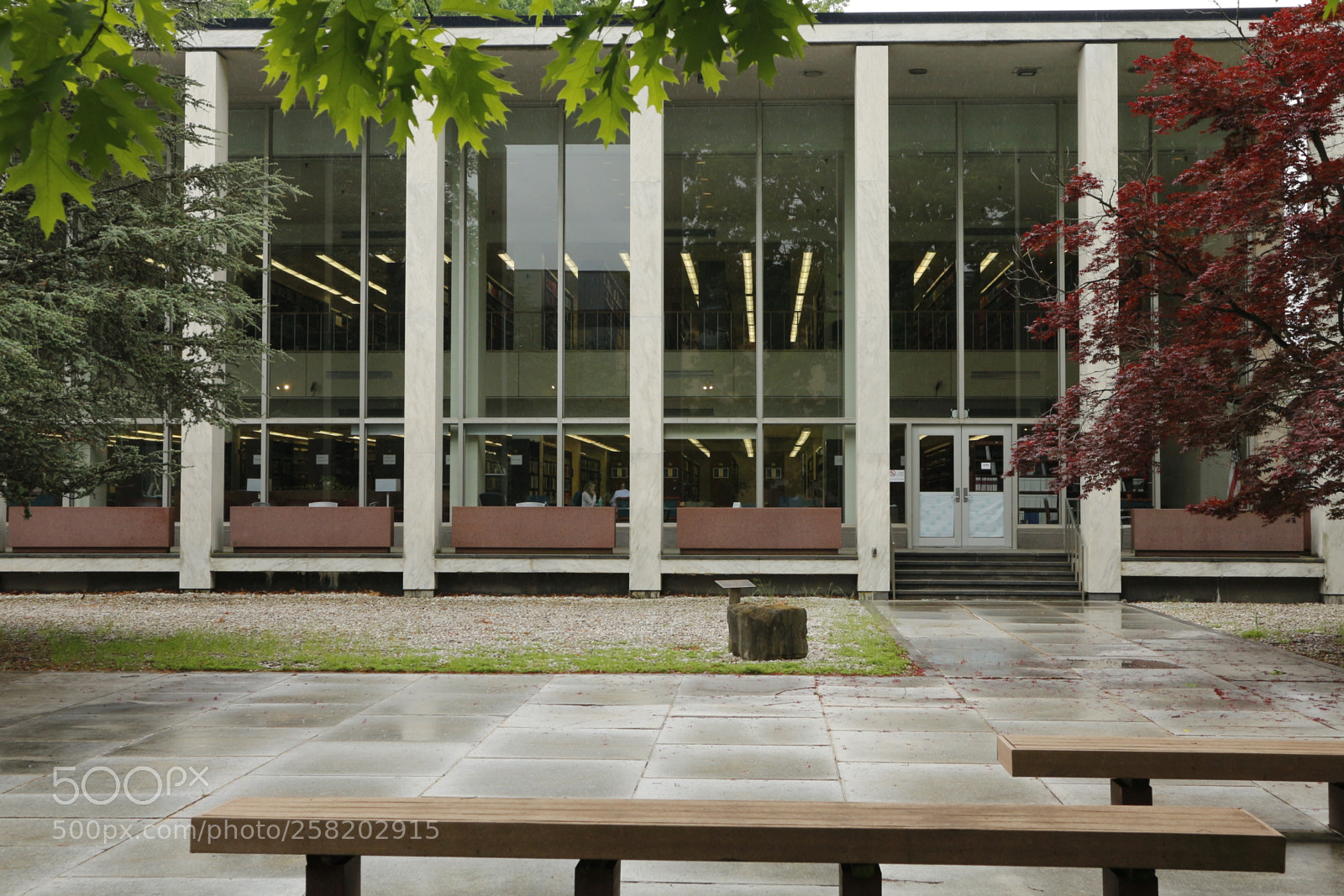 Canon EOS M sample photo. Untitled photography