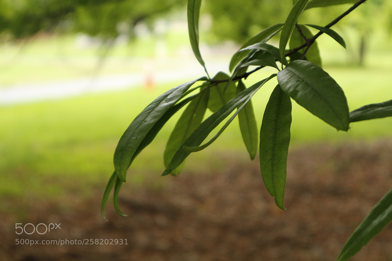 Canon EOS M sample photo. Untitled photography