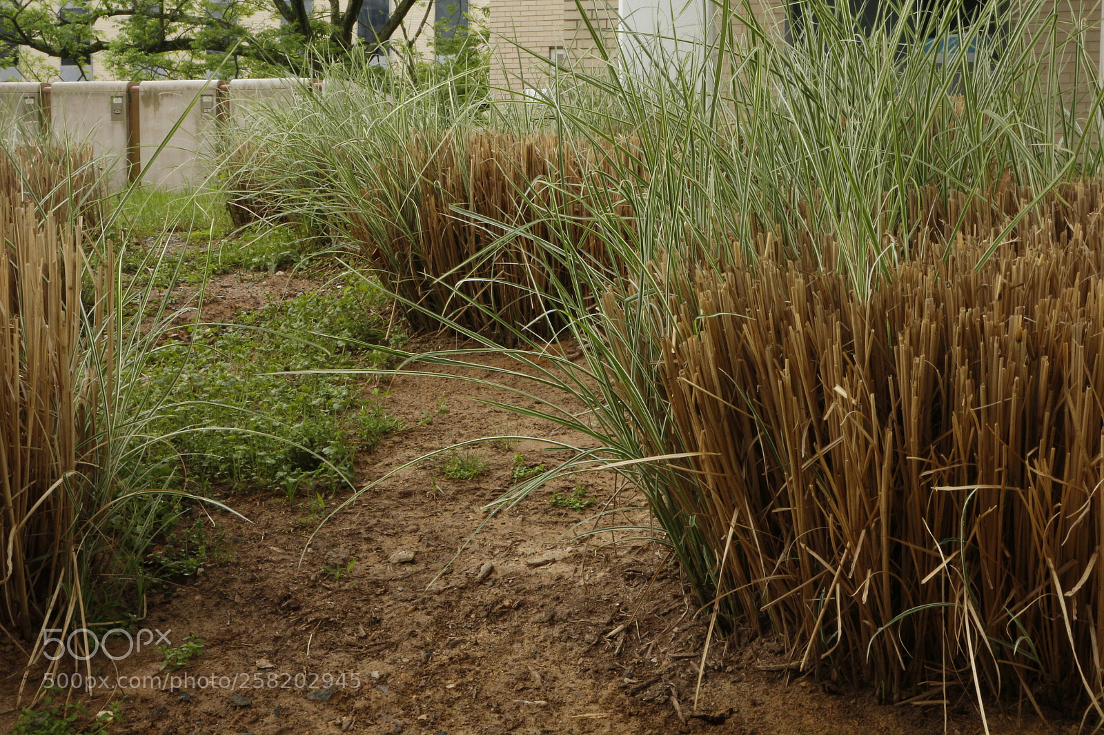 Canon EOS M sample photo. Untitled photography