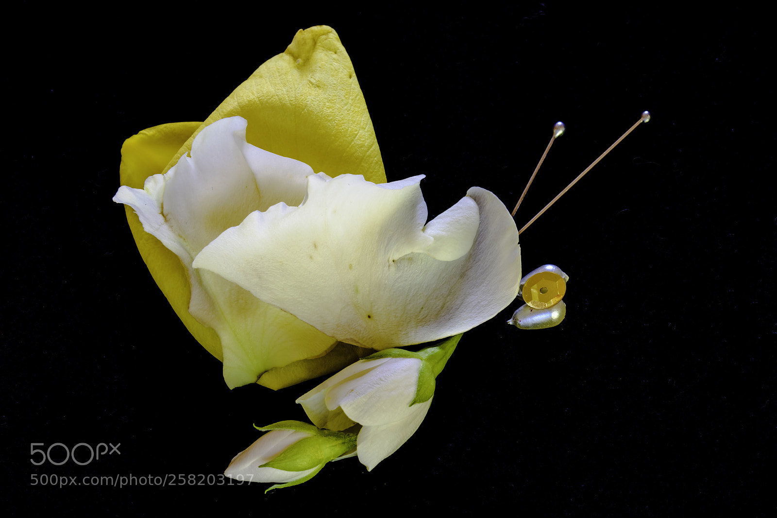 Nikon D7200 sample photo. Lrps photography