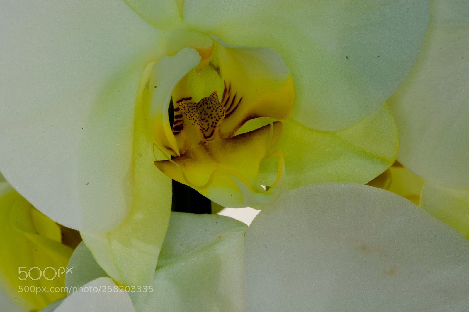 Nikon D7200 sample photo. Lr photography