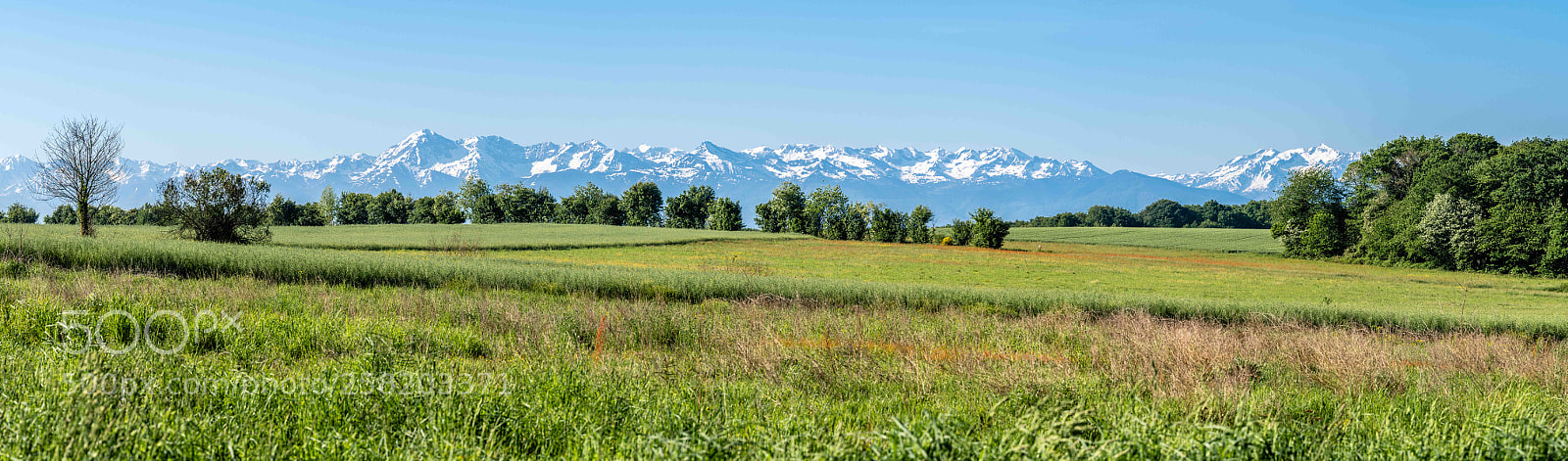 Sony a7 III sample photo. Panorama photography