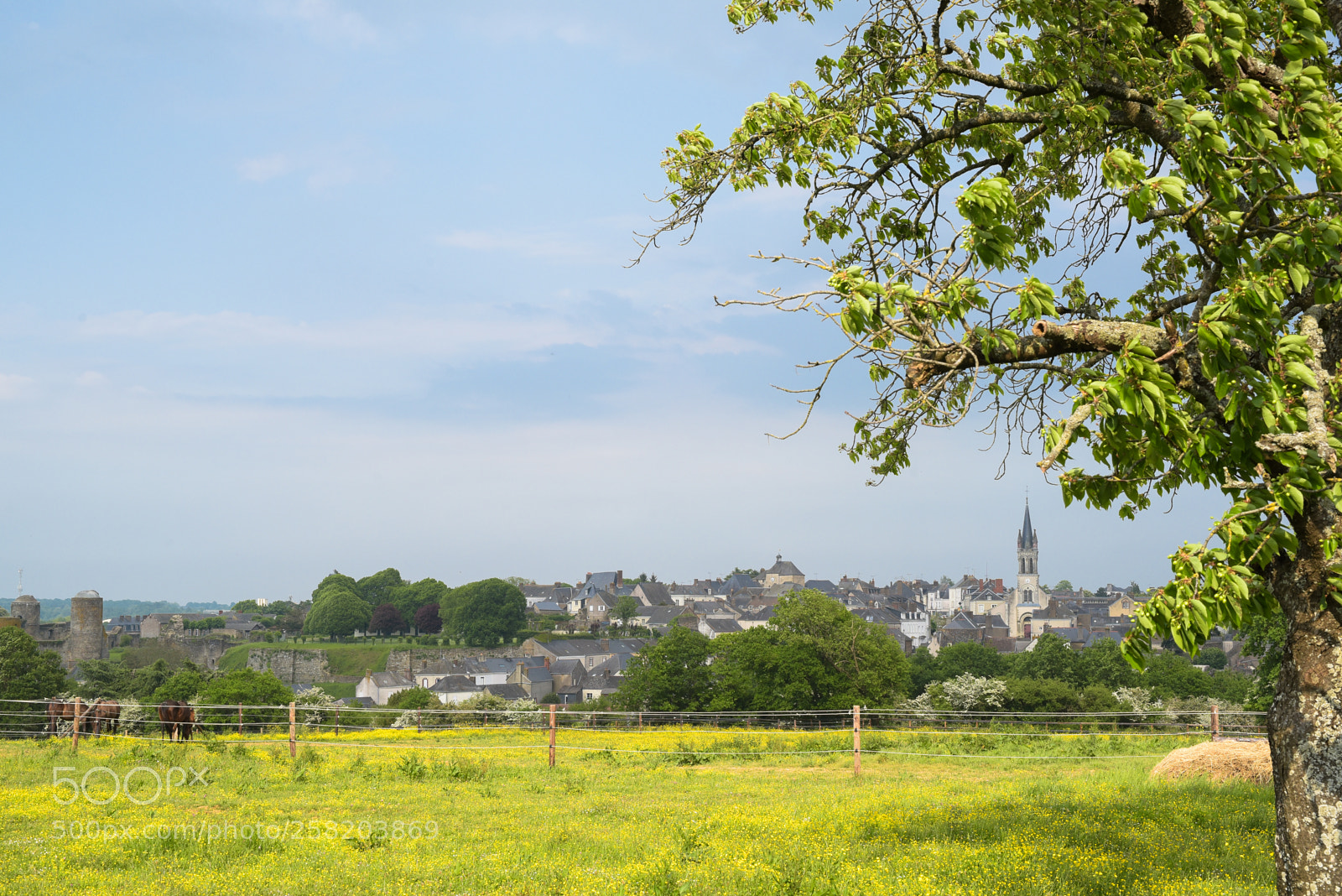 Nikon D750 sample photo. Pouancé photography