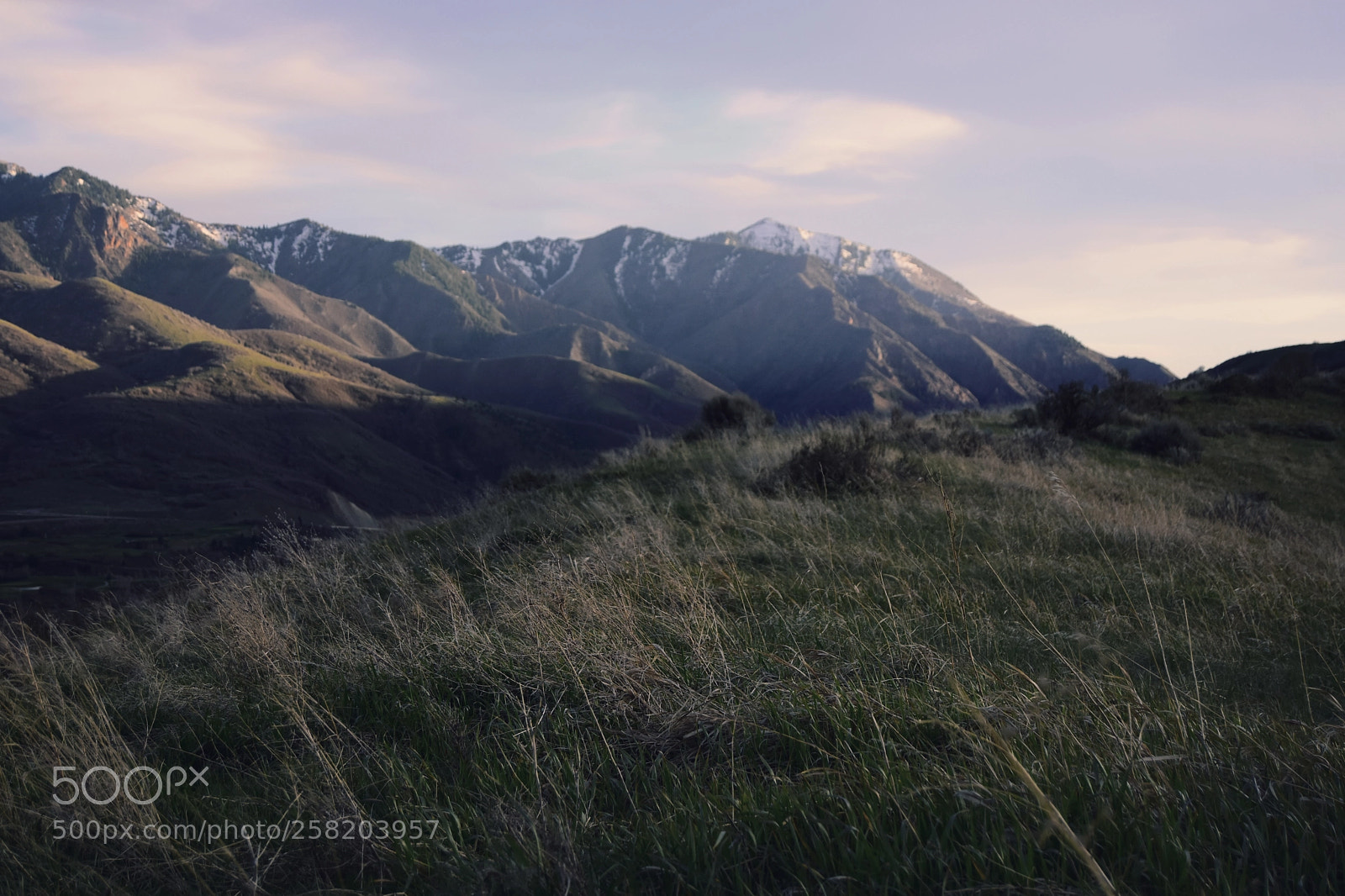 Nikon D7200 sample photo. Along the ridge photography