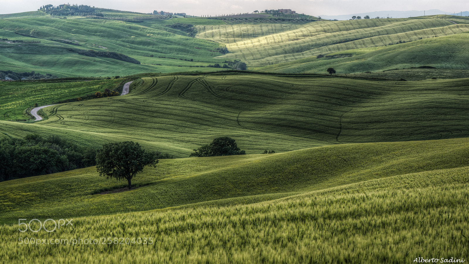 Nikon D750 sample photo. Val d'orcia photography
