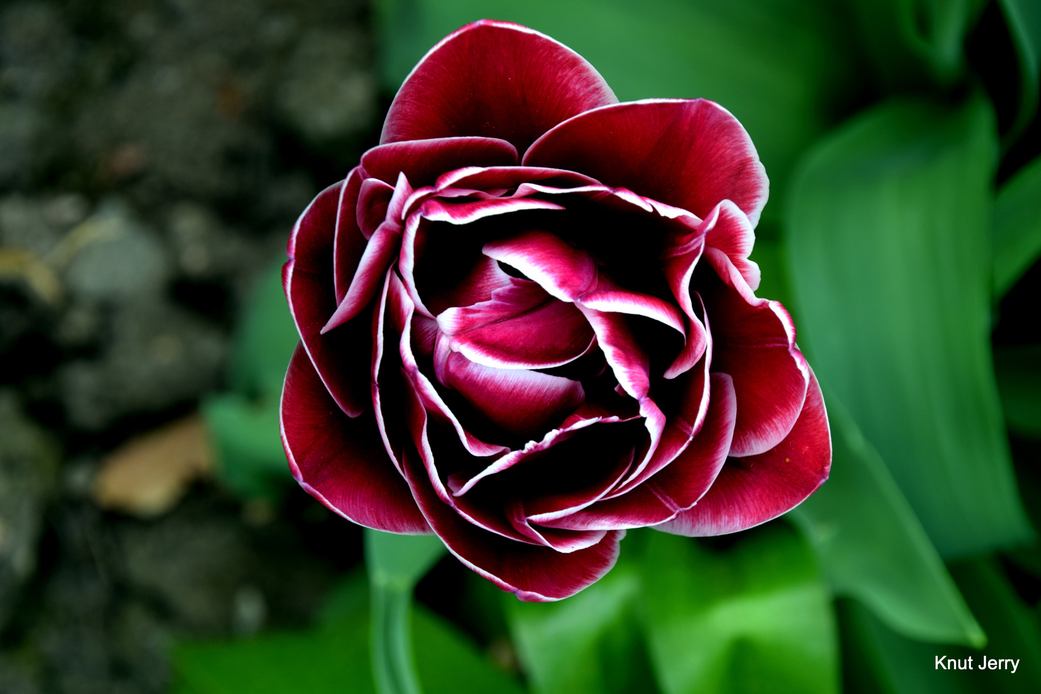 Nikon D5300 sample photo. Dsc photography