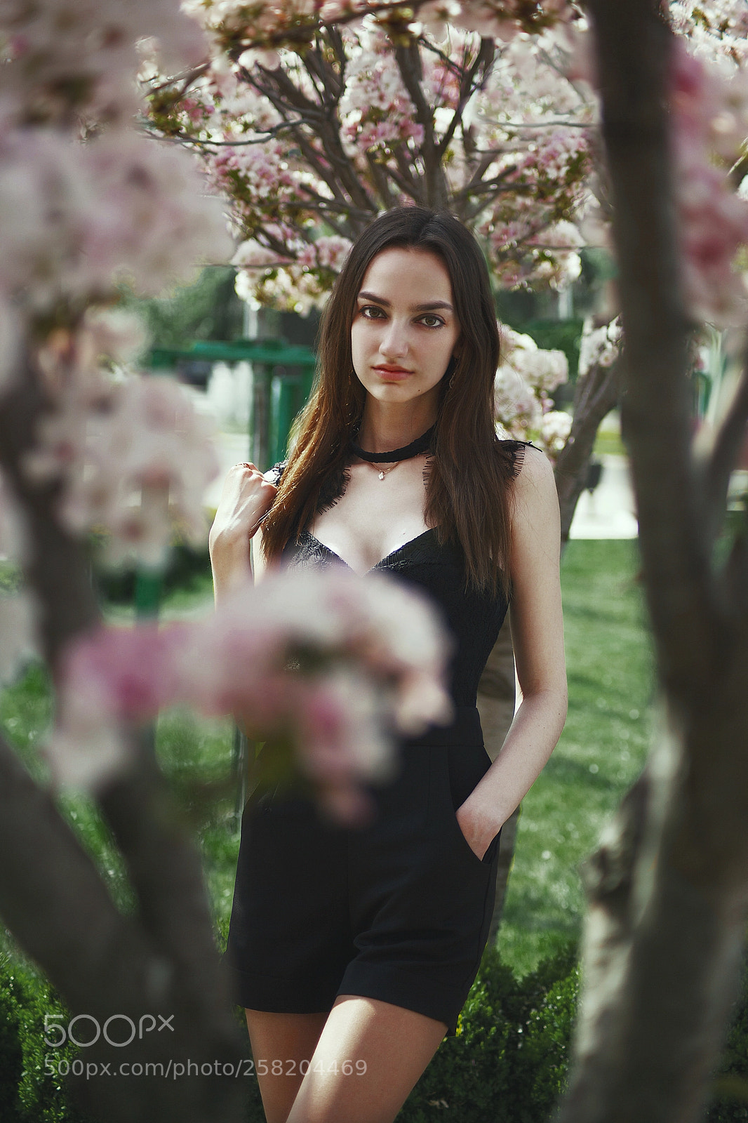 Canon EOS 5D Mark II sample photo. Salura park photography