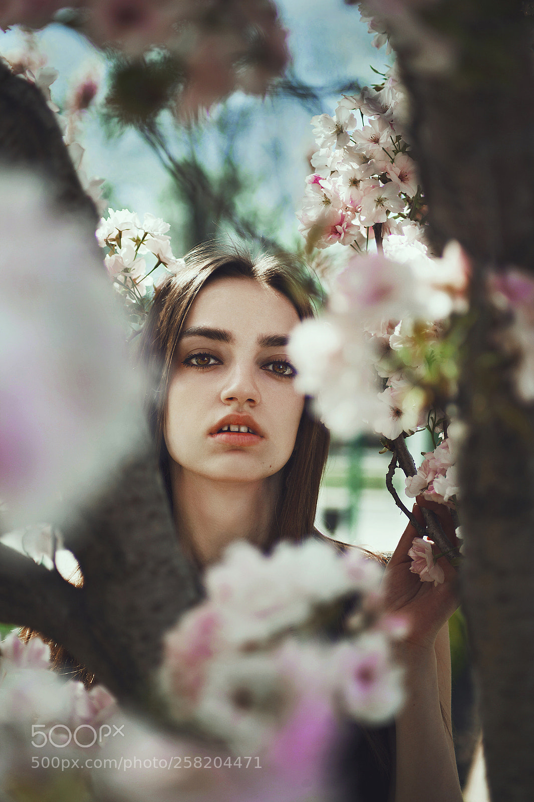 Canon EOS 5D Mark II sample photo. Salura park photography