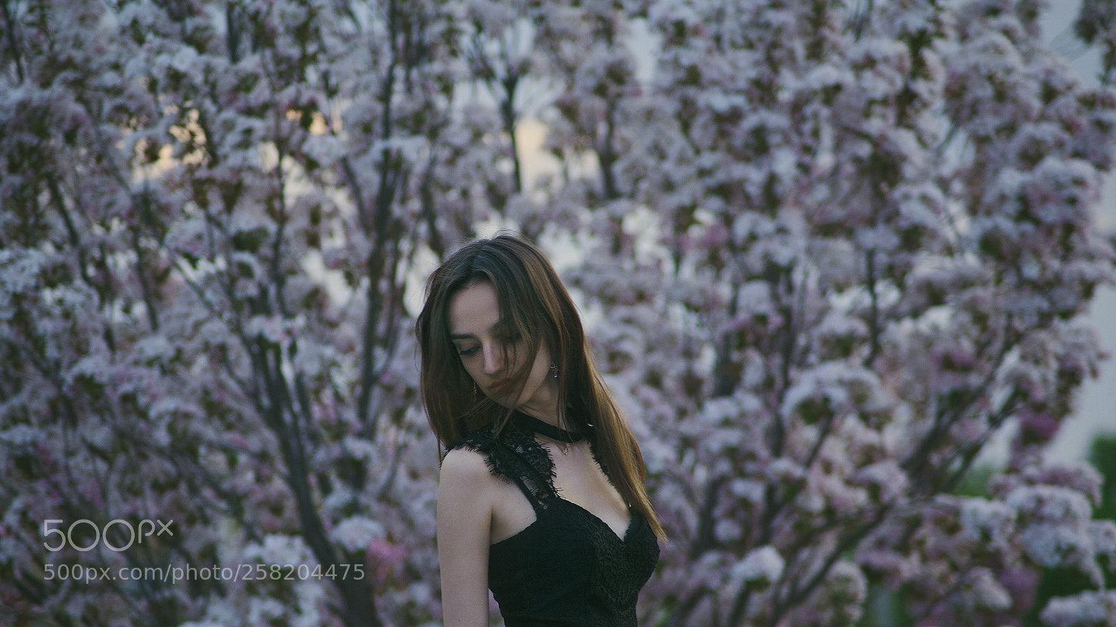 Canon EOS 5D Mark II sample photo. Salura park photography