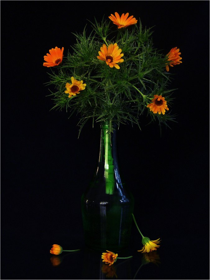 Canon PowerShot A3000 IS sample photo. Orange flowers photography
