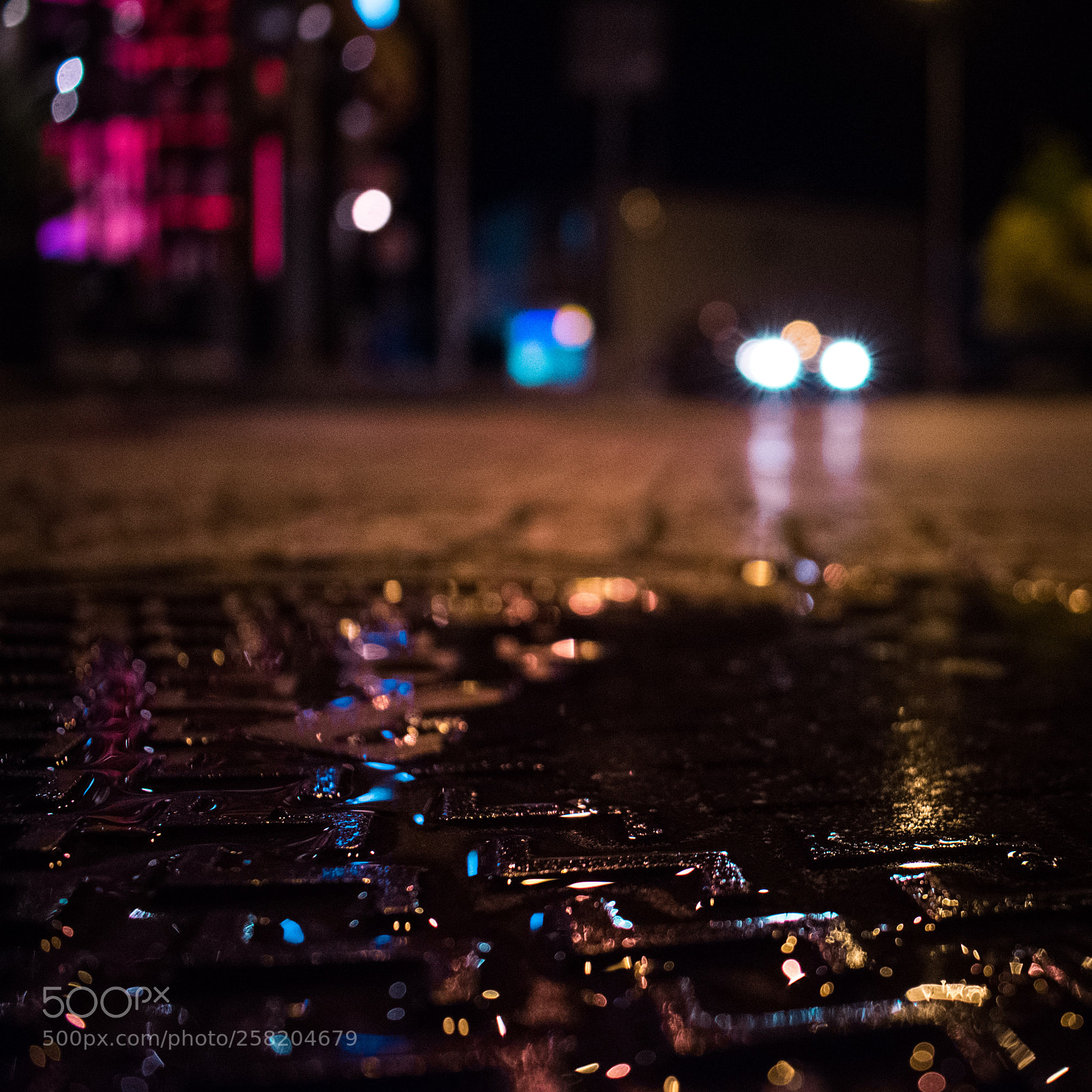 Nikon D3400 sample photo. In love with bokeh photography