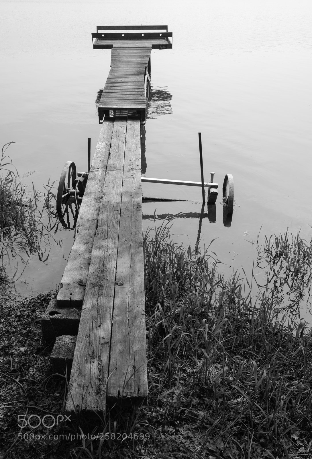 Nikon D750 sample photo. Ponton photography
