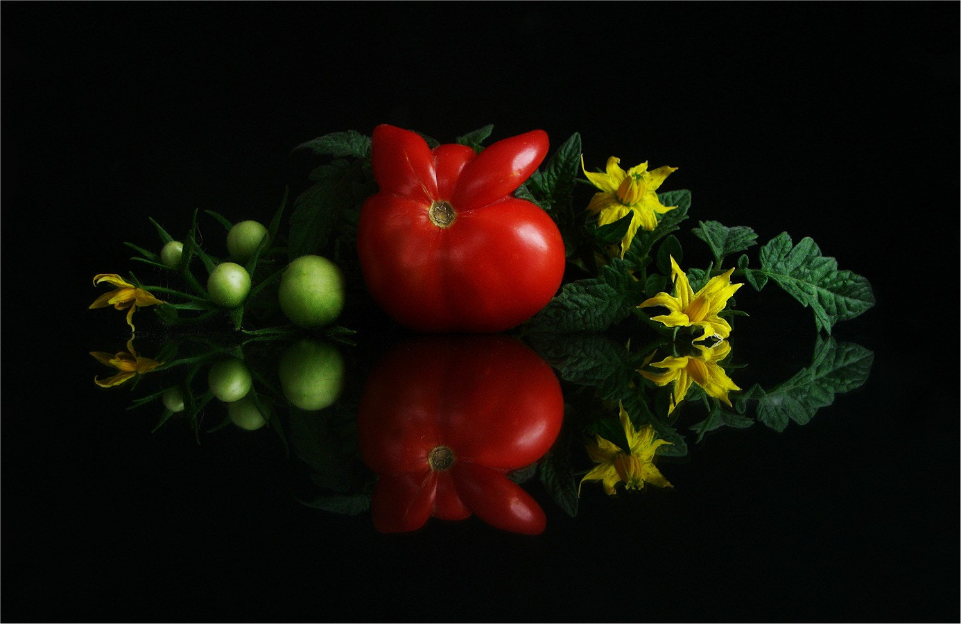 Canon PowerShot A3000 IS sample photo. Tomato ☺ photography