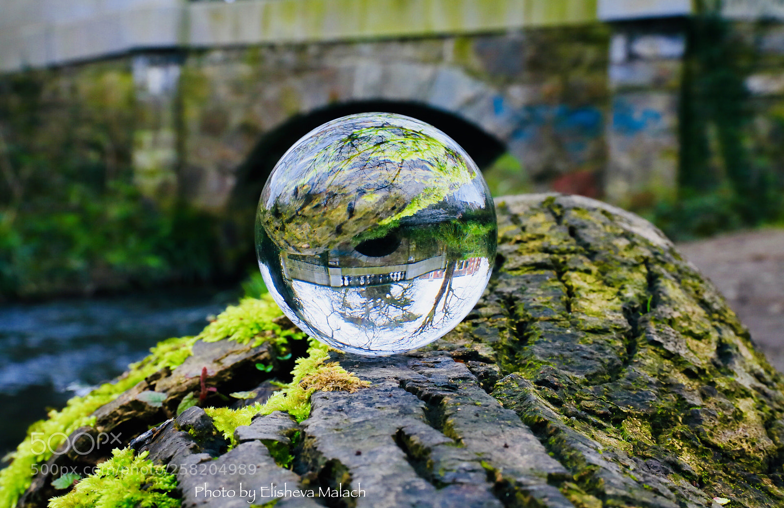 Canon EOS 5D Mark II sample photo. Untitled photography