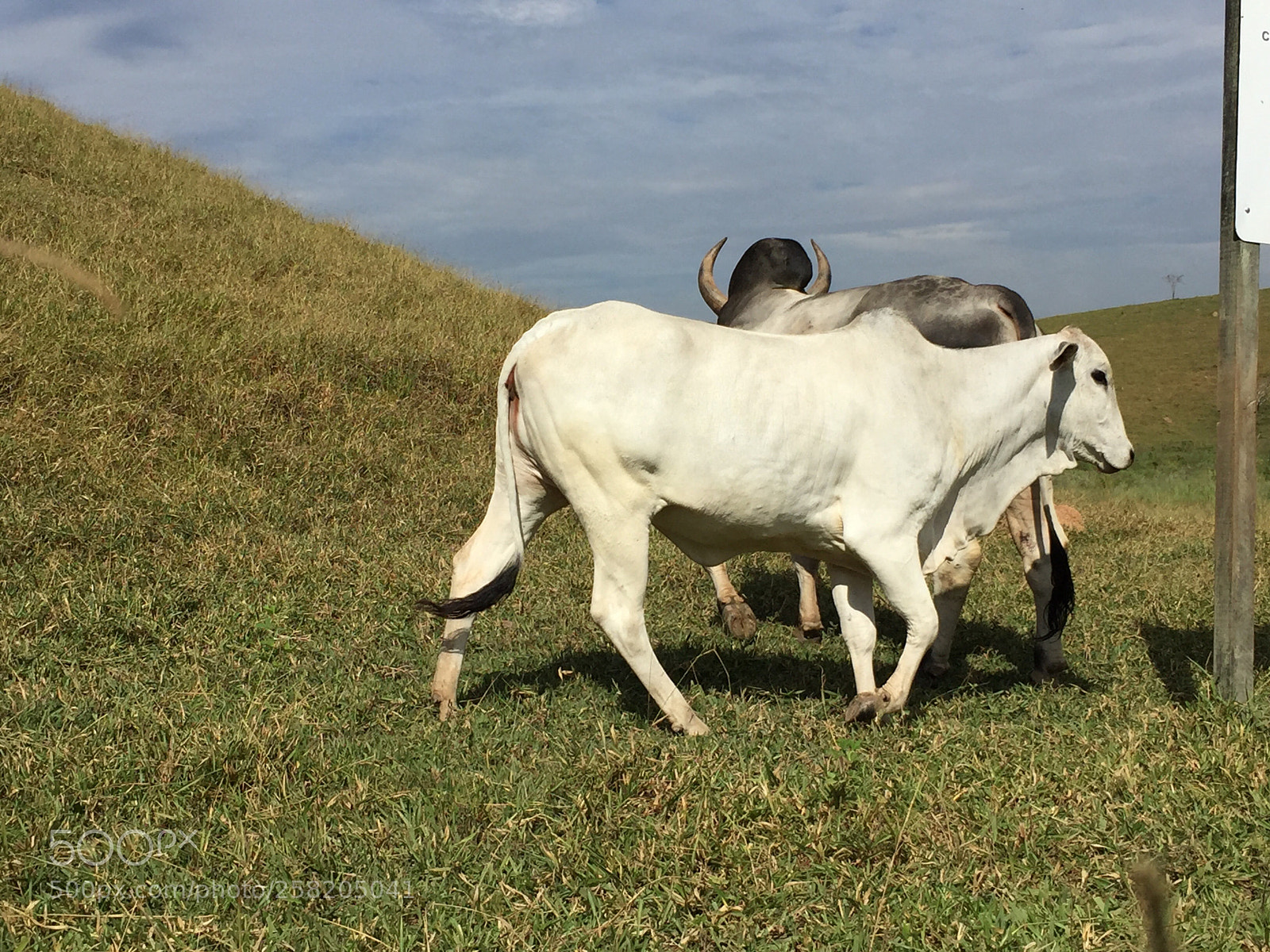 Apple iPhone 6 sample photo. Untitled photography