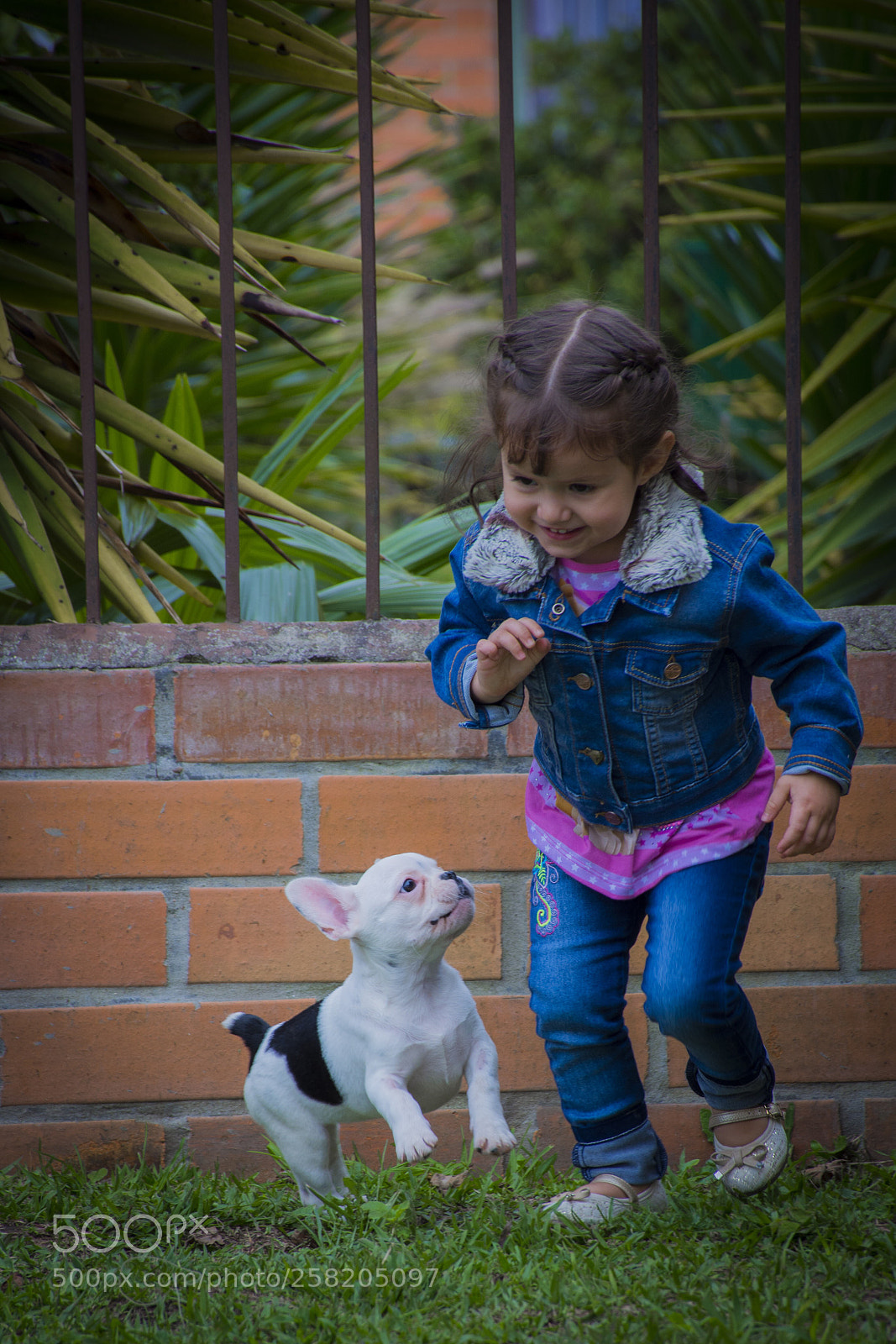 Nikon D7200 sample photo. Best friends!!! photography