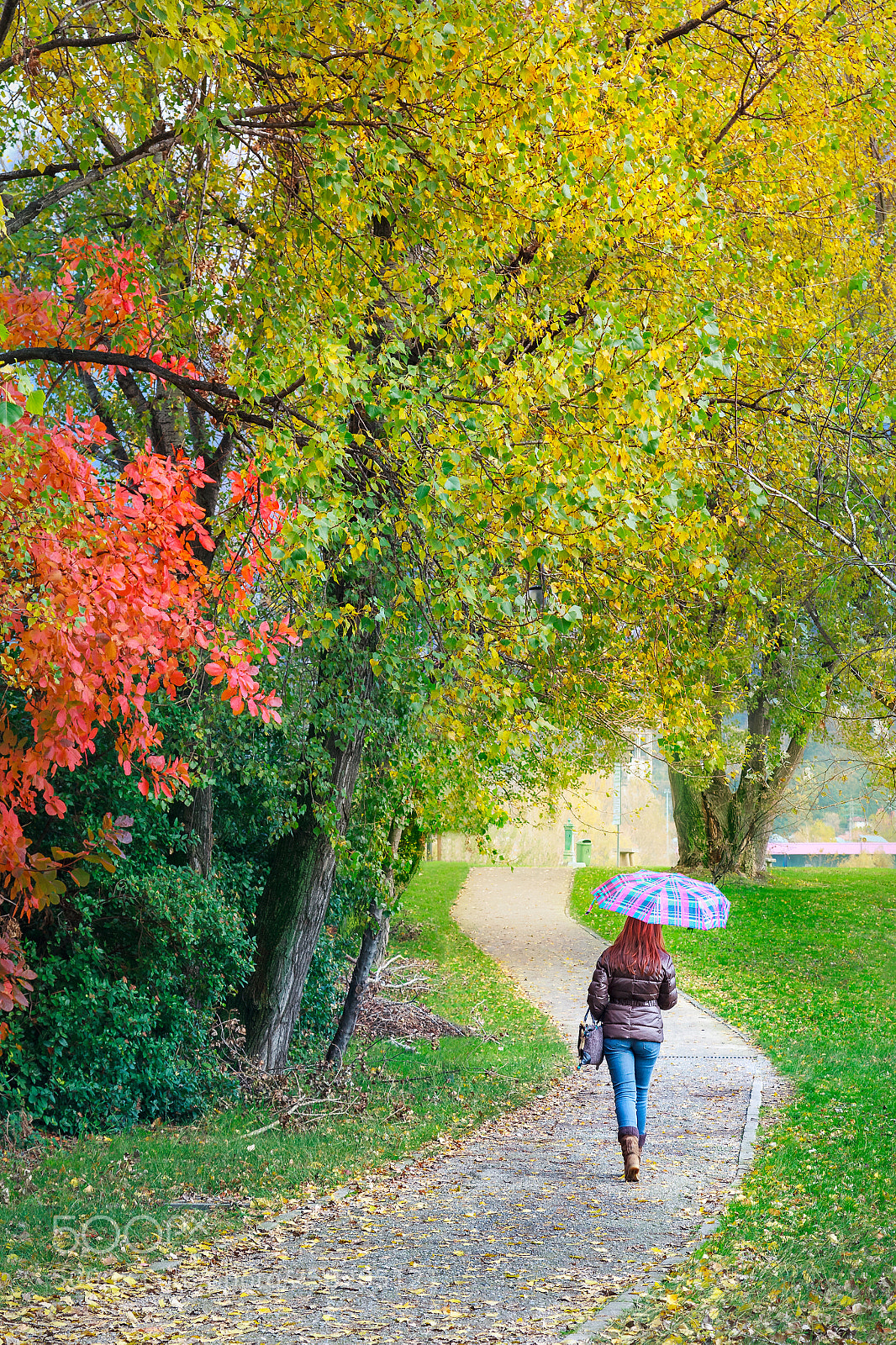 Canon EOS 5D Mark II sample photo. Colorful autumn photography