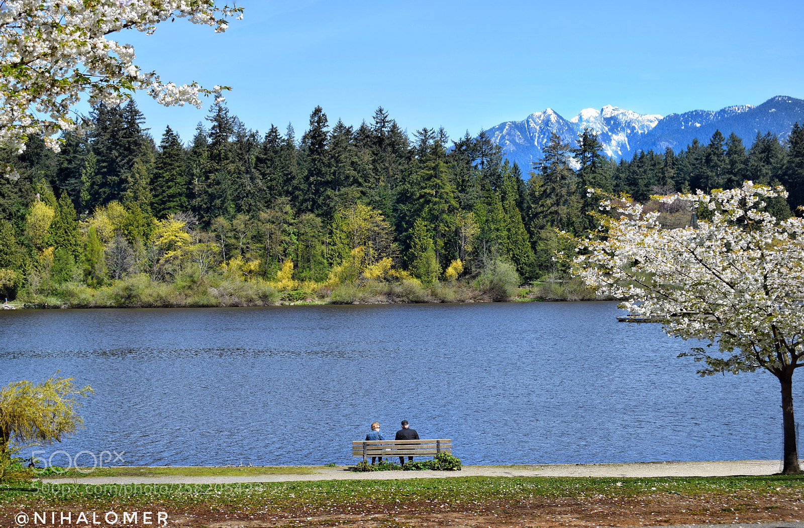 Nikon D5300 sample photo. Untitled photography