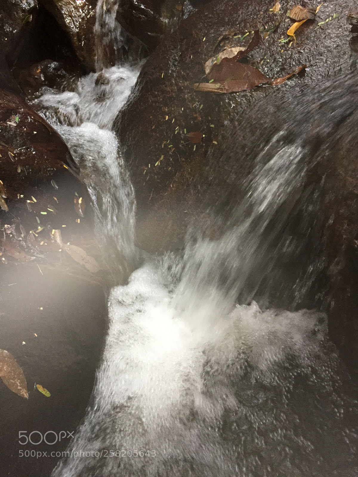 Apple iPhone 6 sample photo. Untitled photography