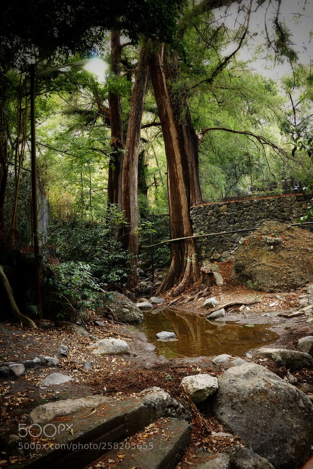 Canon EOS 70D sample photo. Despues de la tormenta photography