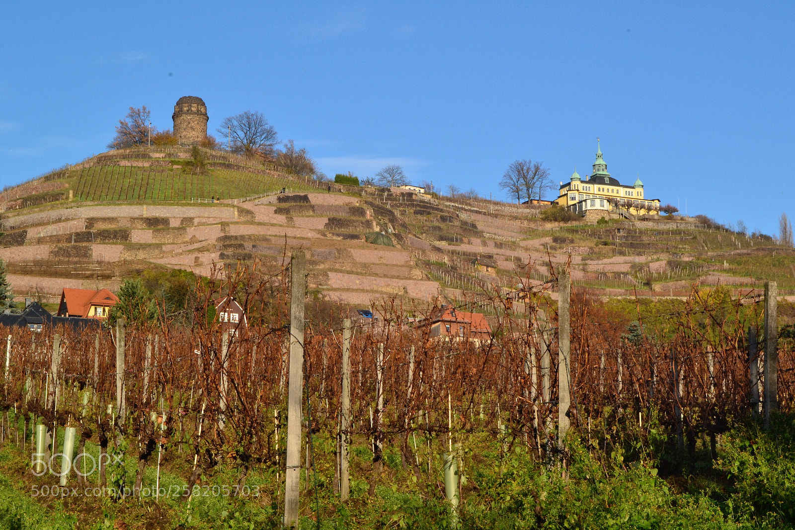 Nikon D3100 sample photo. Bismarckturm & spitzhaus photography