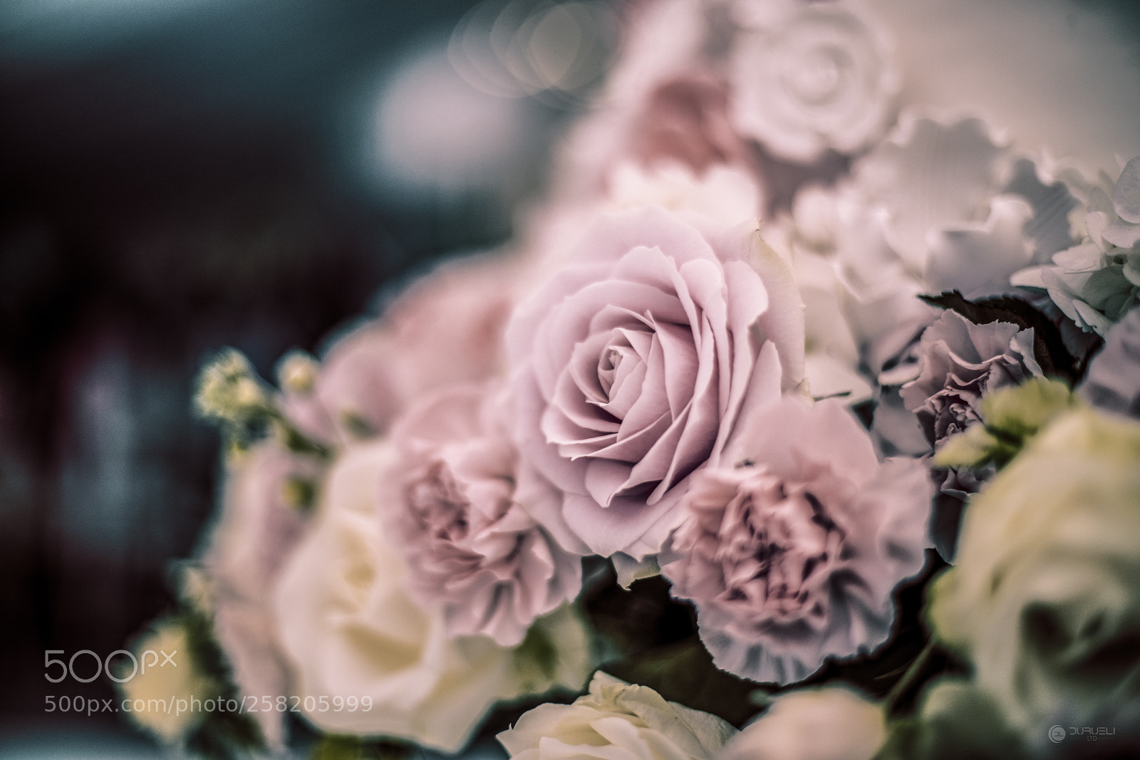 Canon EOS 5D Mark IV sample photo. Une journ e de photography