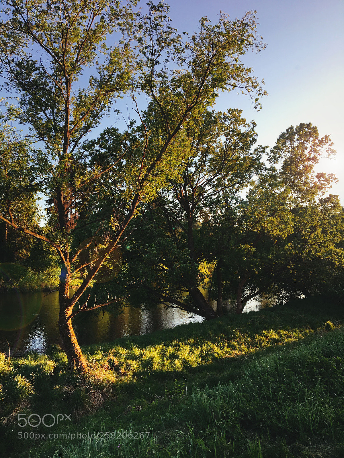 Apple iPhone 6s sample photo. Golden hour photography