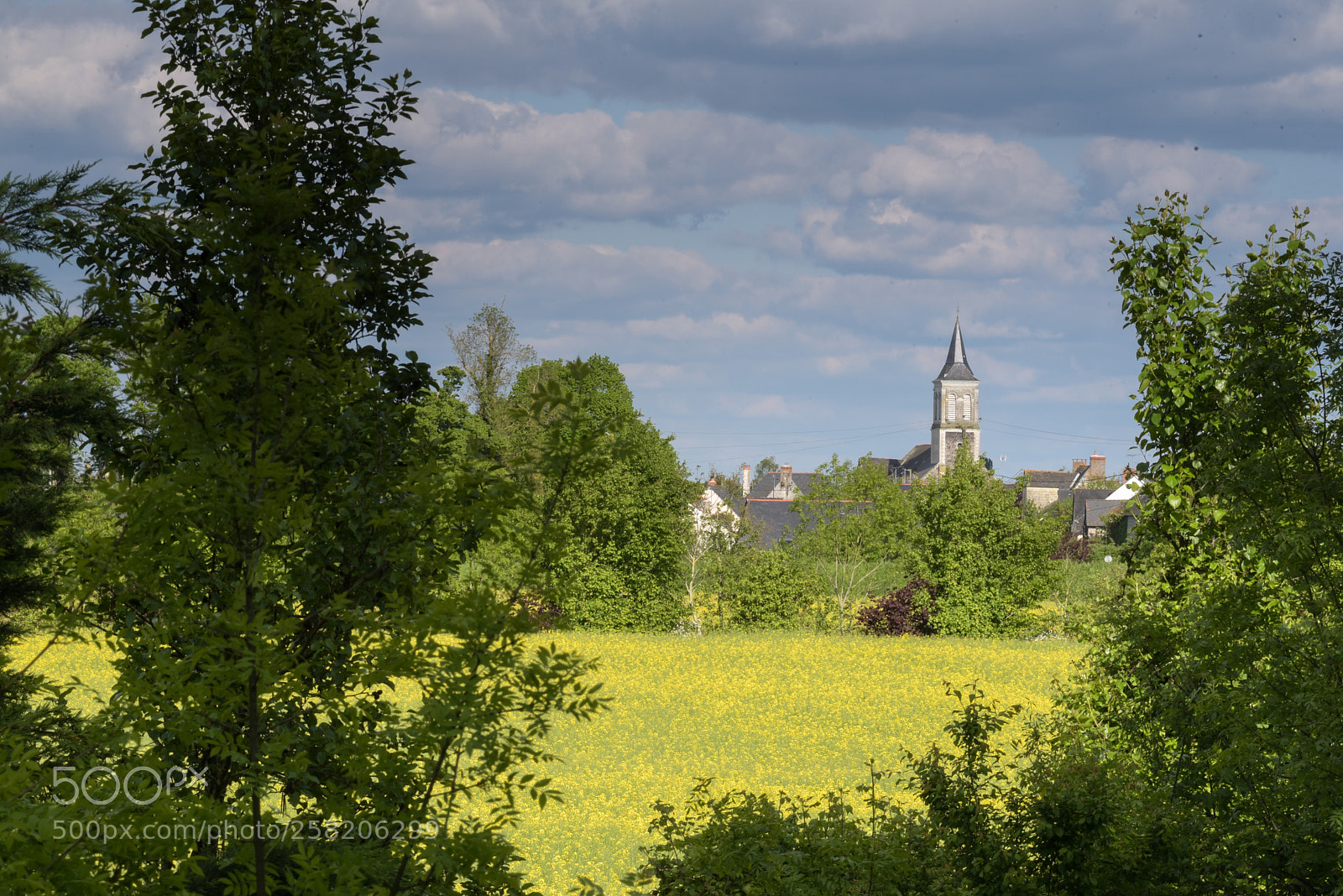 Nikon D750 sample photo. Village angevin photography