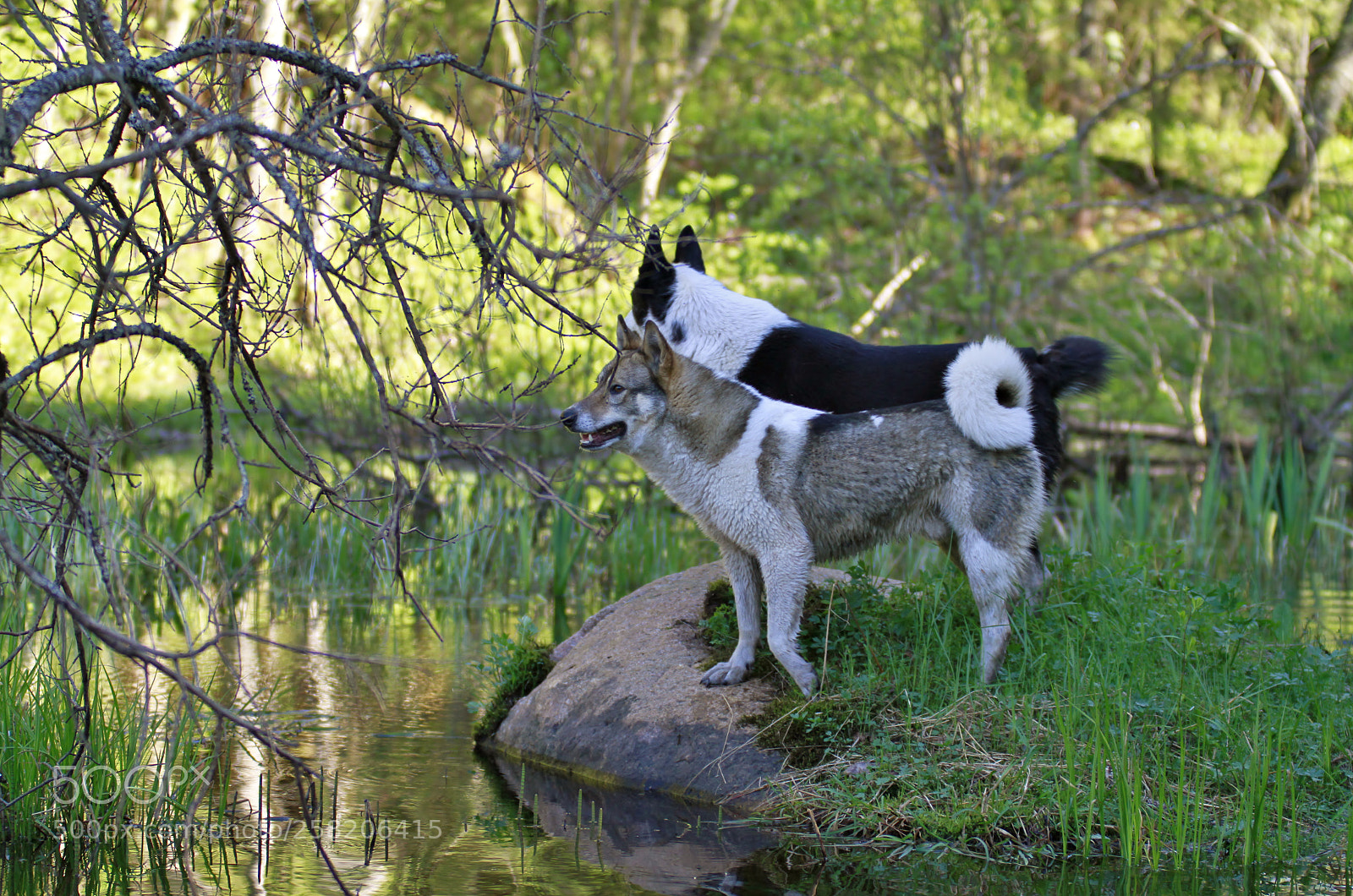 Canon EOS 7D sample photo. Двое на камне photography