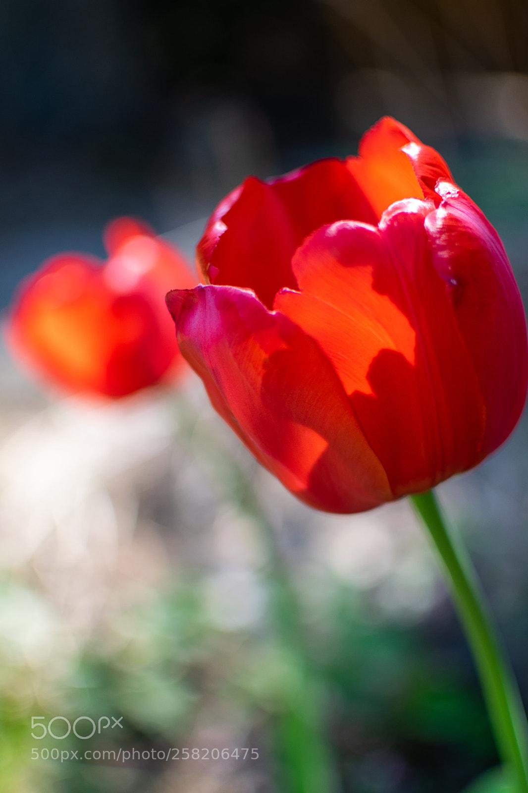 Nikon D5300 sample photo. Untitled photography